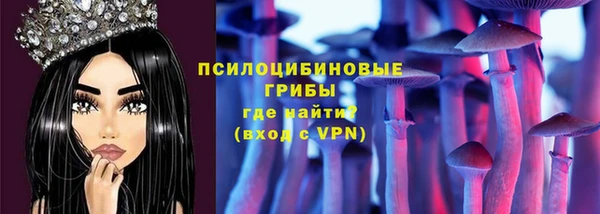 прущий лед Алзамай