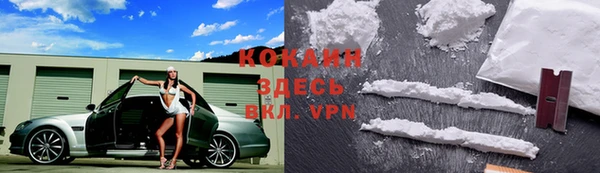 соль ск Осинники