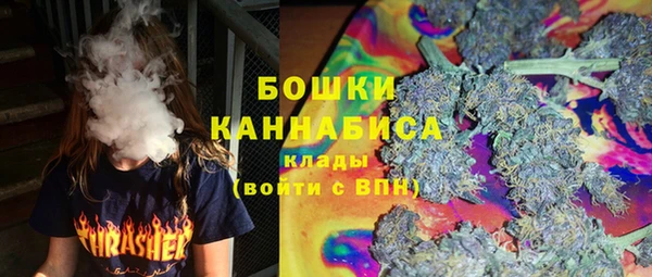 прущий лед Алзамай