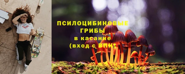 шишки Остров