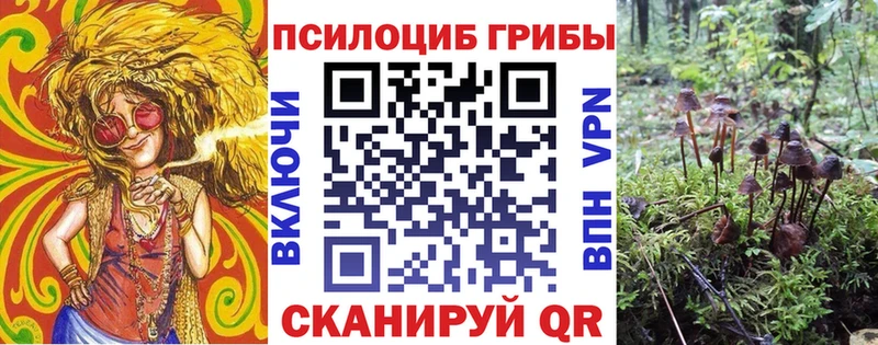 где купить наркотик  блэк спрут tor  Псилоцибиновые грибы MAGIC MUSHROOMS  Солнечногорск 