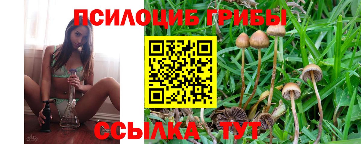 цены наркотик  Вход с VPN  Солнечногорск  Галлюциногенные грибы GOLDEN TEACHER 